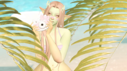 Mango At The Beach