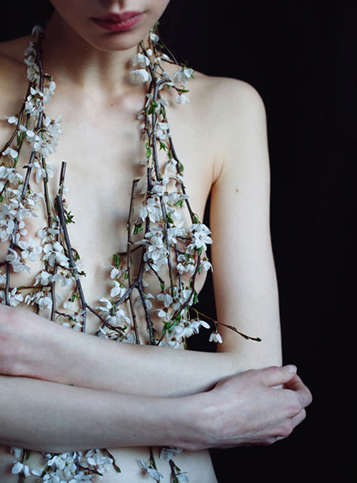 bienenkiste:Ph. Nishe / Magdalena Lutek