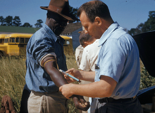 fyeah-history: Tuskegee syphilis experimentThe Tuskegee syphilis experiment was an infamous clinical