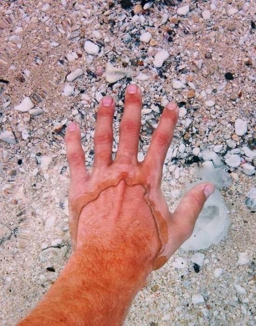 runyouclevrboyandremember:  The water at Flathead Lake, Montana is so clear 