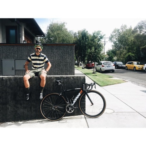 joshemei: Perched on a fence #baaw #roadbike #lowfactoryracing #lowbicycles #thismachinekillscarbon 