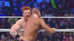 wweass:  I miss Sheamus doing the Irish Curse Backbreaker. He definitely needs to go back to using this move as a signature move again. ;)