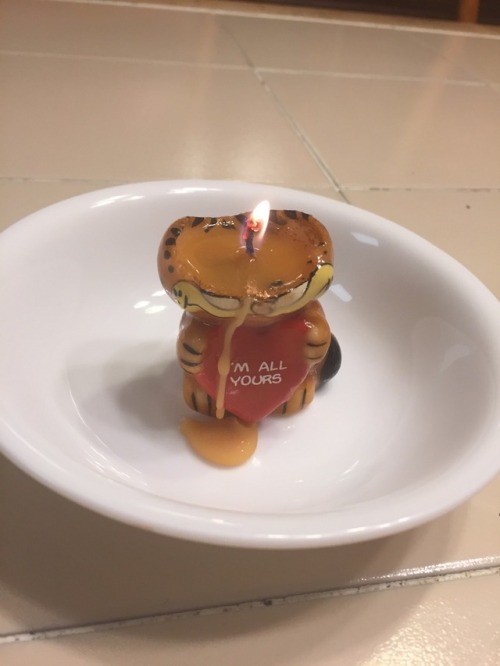 beatlesweatles:catbots:my sister found this garfield candle at a flea market so we lit him up and wa