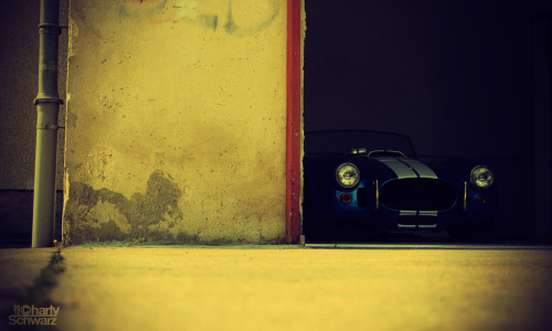 Shelby Cobra .. In the Dark !! by Charly Schwarz. (par Charly.S)