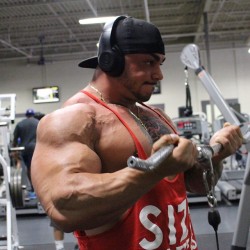 drwannabe:  Tristen Escolastico