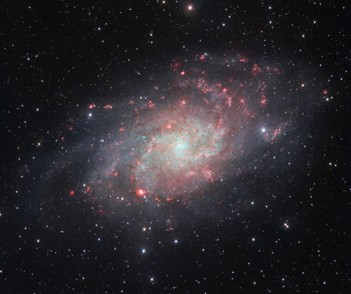 just–space:  The Triangulum Galaxy porn pictures