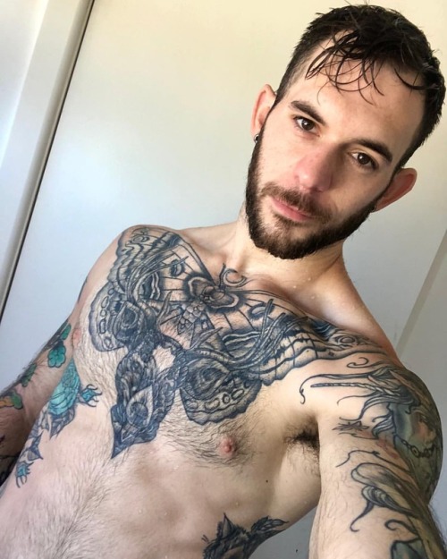 theofficialtro: Scruffy www.instagram.com/p/BsMjhjThoke/?utm_source=ig_tumblr_share&amp;