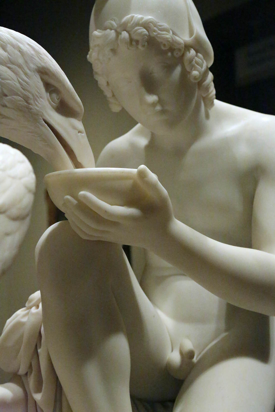 antinoo5: domus-aurea2: feeding my all , Ganymede  mon cher @domus-aurea2 