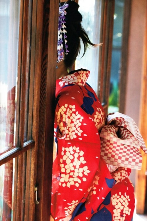 Acehikari4 - A 48G Blog