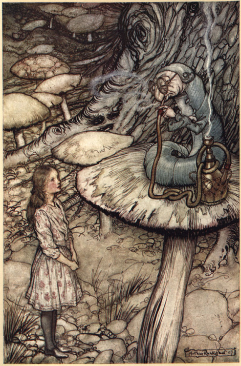 suicideblonde:  Alice and the Caterpillar (1907) by Arthur Rackham 