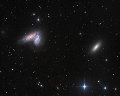 wonders-of-the-cosmos:Spiral galaxy pair NGC 4567 and NGC 4568 share this sharp cosmic vista with lo