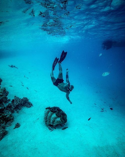 Last time we were here we got a brief glimpse of these giant clams from the boat. This year I was de