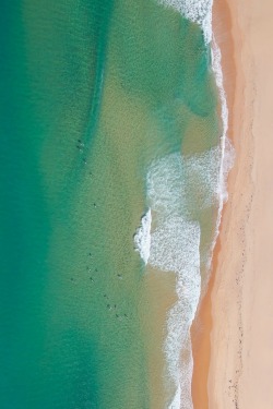 highenoughtoseethesea:  From Overhead Photo: