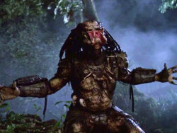 scififorbiddenzone:  Predator (1987)  BEST.