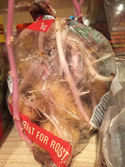 milkovicho: hey just a quick question but uh how long has my housemate had these