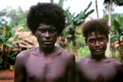 New Georgia - Solomon Islands, by Jean-Christophe