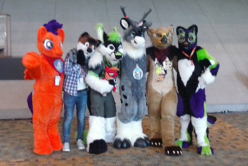 I didn’t take a lot of photos at BC, but i did grab a few with my shitty phone blur-o-cam.I love seeing fursuits there… it’s like, a little more special than seeing them at a furcon i guess xD There aren’t nearly as many, and they are my