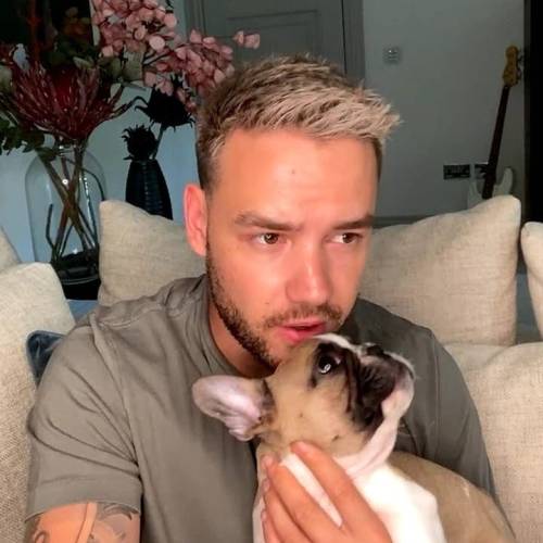 justapayneaway:Liam and Scooby: The most iconic puppies ever 