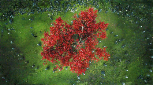 http://yeobohain07.tumblr.com/post/146571408690
