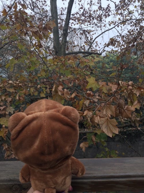 baby nini enjoying the winter lake view at xihu, hangzhou :3