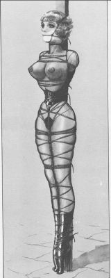 higyaku-no-miki:    Pole Bondage - Drawing by John Willie  