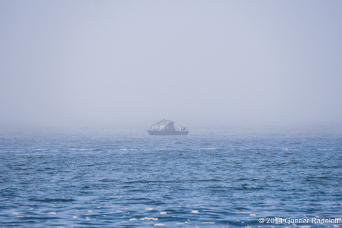 7.7.2014 - day 5 on the West Coast Trail - the fog moving in..#BC #Canada #VancouverIsland #WestCoas