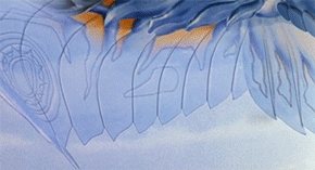 4F
