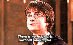hermionergranger:  “There is no Hogwarts