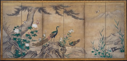 Birds, Trees, and Flowers, Kano Shoei, late 1500s, Cleveland Museum of Art: Japanese ArtUnhurried co