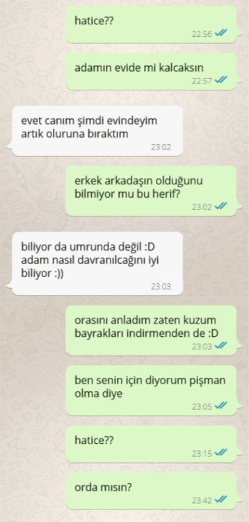 sevişme