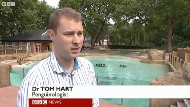 buzzfeed:  27 People With Better Job Titles Than You 