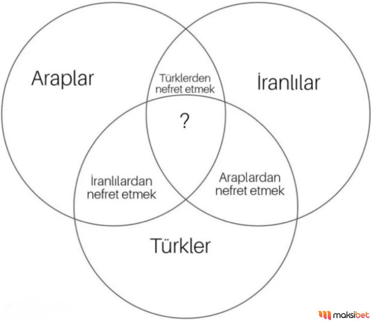 Araplar Türklerden nefret...