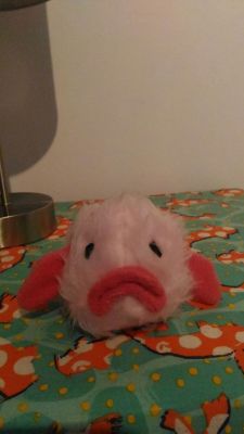 I made my sister a blobfish plushie!