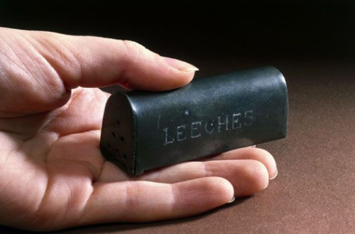 deborahlutz:Box for carrying leeches, 19th century.Source