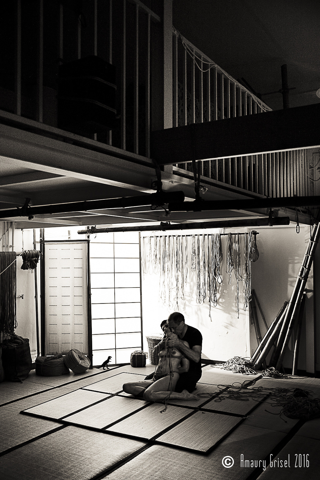 amaury-grisel-shibari:  Avalon &amp; miaoumi performing for the photo-workshop