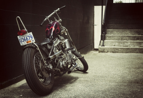 lifeofshralp:  Darren’s righteous panhead 
