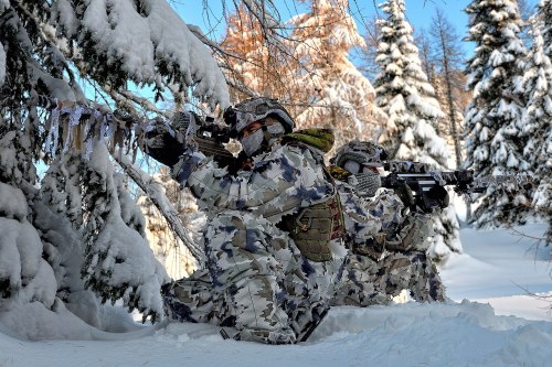 8° Reggimento Alpini, Italy, 2019