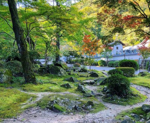 ＼おにわさん更新情報／ ‪[ 山口県岩国市 ] 紅葉谷公園 Momijidani Park, Iwakuni, Yamaguchi の写真・記事を更新。 ーー岩国城の登山口に並ぶ1000本の紅葉、楓。