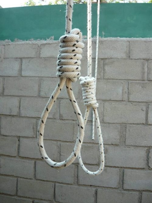 redflyhanged:Who want? rád bych chtěl