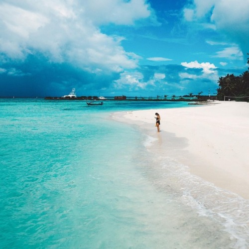 The Beauty and the Beach