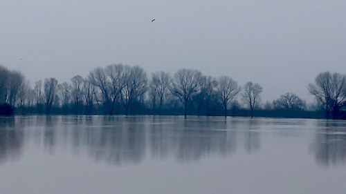  “Winter on the Secchia river”