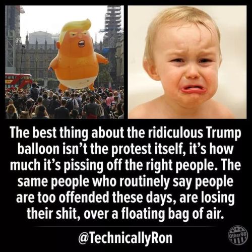 liberalsarecool:  Womp womp.
