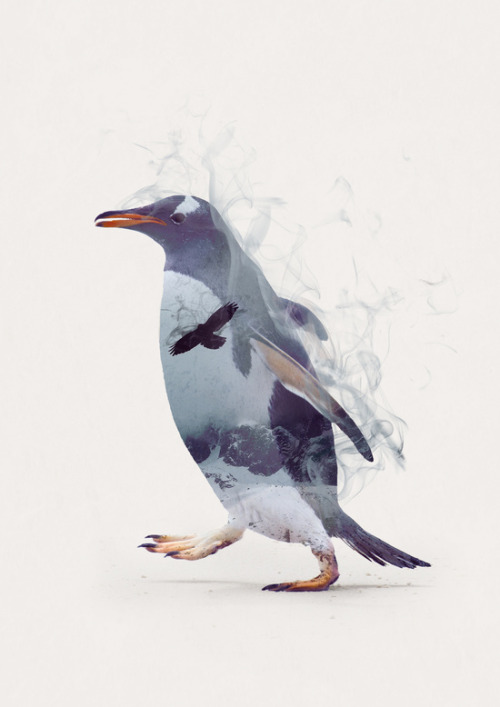 bestof-society6: ART PRINTS BY ONE MAN WORKSHOP Penguin  Fox II  The Bear  Snow Leopard  Bison