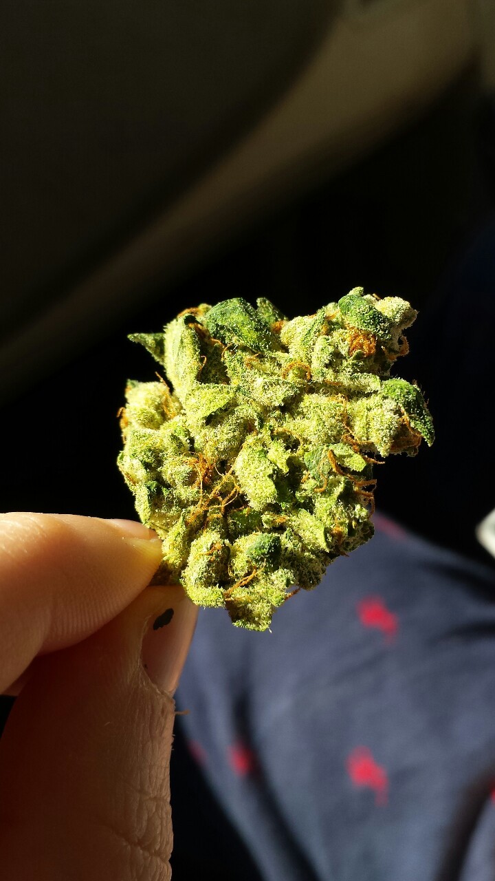 stoner-ette:  Good morning sunshine, perfect way to start your day. 