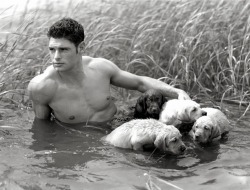 iafeh:Bruce Weber reeds in the marsh