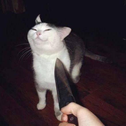 ?