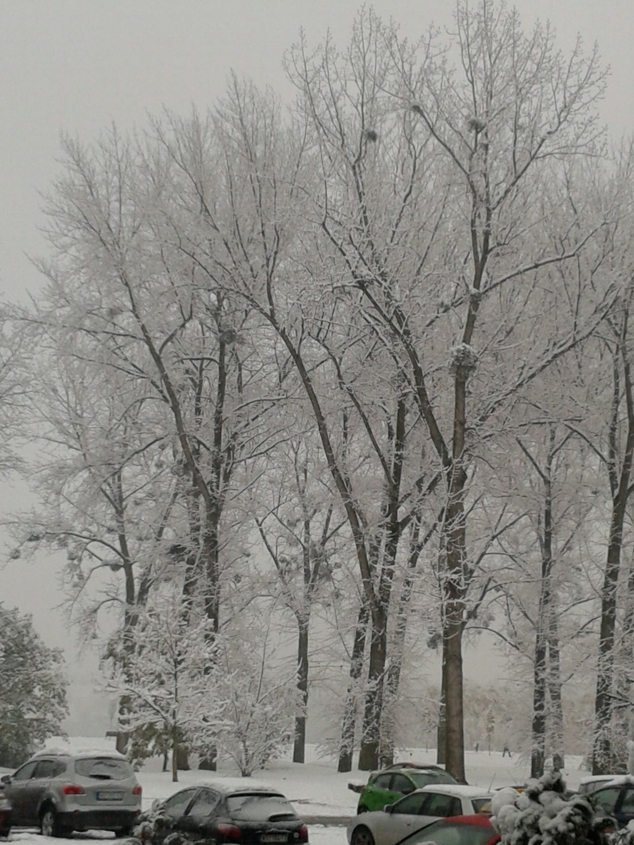 Beauty of winter&hellip;