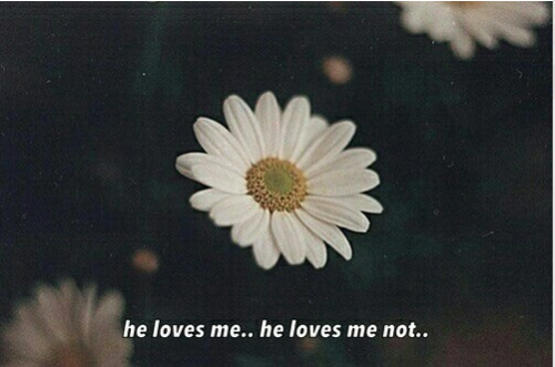 riverofbones:  vintage blog ❂