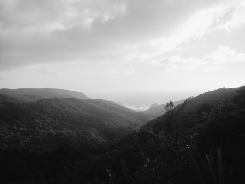 Kare Kare Beach The Waitakeres, Auckland Samsung GS4 / VSCOcam