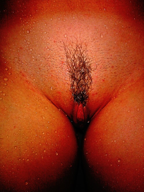 kjamopuss:  wet bush